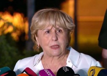 Giuli Alasania: I Ask Everyone to Save My Son