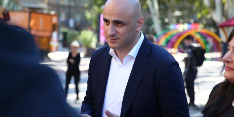 Nika Melia Confirms He Met with President Salome Zurabishvili