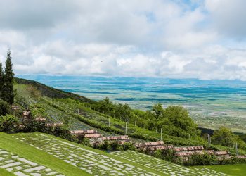 An Overview of the Georgian Wine Sector
