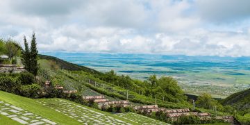 An Overview of the Georgian Wine Sector