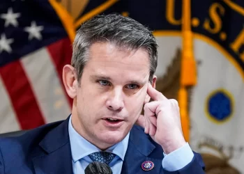 Adam Kinzinger: Georgian Dream Is Not Even Hiding Their Love for Russia Anymore
