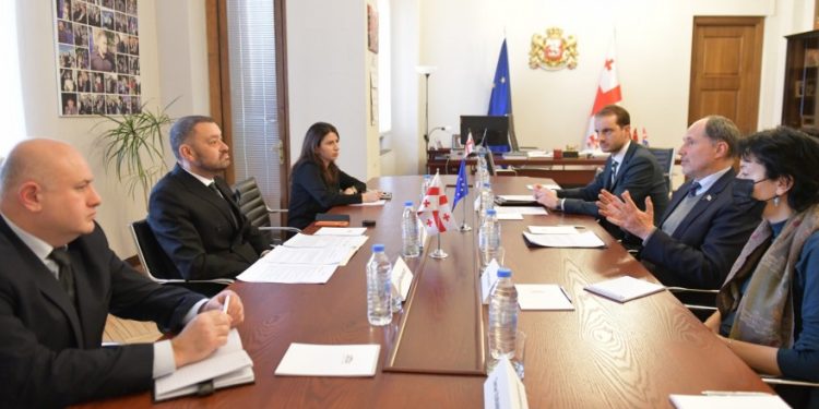 Odisharia: With EU Ambassador, We Held Thorough Consideration of Compliance with EU Recommendations