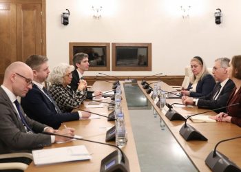 Sergeenko Introduces Human Rights Improvements to OSCE PA Delegation