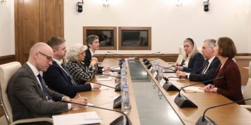 Sergeenko Introduces Human Rights Improvements to OSCE PA Delegation