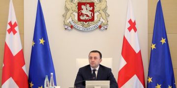 In January, more than 20 Million GEL is to be Allocated for Population Affected by Disaster