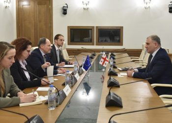 Sarjveladze Introduced Human Rights Reforms to EU Ambassador