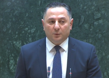 Interior Minister: The Sagarejo Killer Worked in the MoD from 2006 to 2021