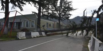 Falling Tree Kills One in Georgia’s West as Severe Weather Continues