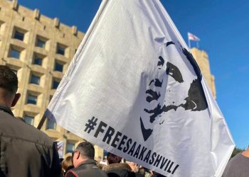 Support for Saakashvili Shown in Tbilisi and the Regions