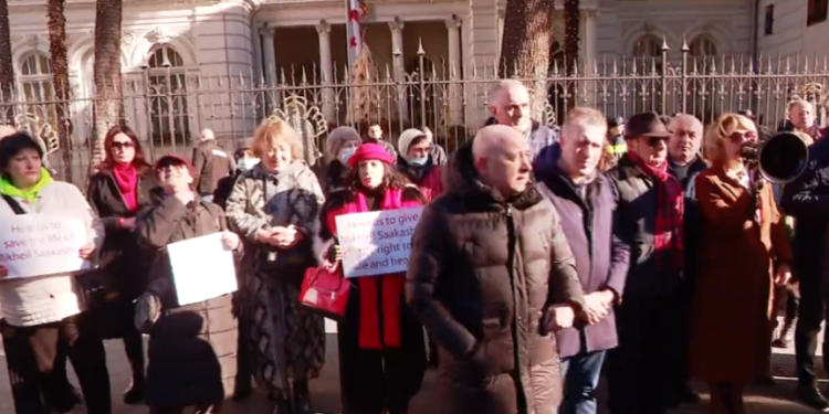 Doctors Hold Rally at President’s Administration, Demanding Pardon for Saakashvili