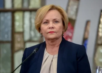 MEP: Georgia needs deBidzinization & deoligarchization