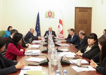 Health Care and Social Issues Committee endorses action plan for 2023