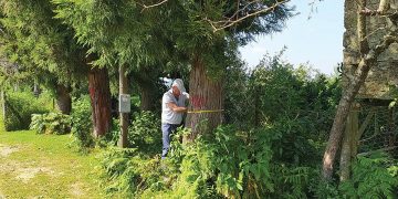 Community Foundation “Lotus,” a wind belt project in Ozurgeti, worked to solve a very acute problem in their community – the cut and burned wind belt in Ozurgeti, which has resulted in serious problems for the population living nearby