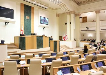 Speaker: I hope Georgia’s effort to be valued and EU will grant us candidate status