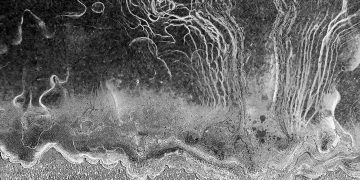 Just the Rust: Tbilisi