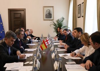 Chair of Foreign Affairs Committee of Spanish Senate: We recognize Georgia as part of Europe