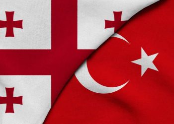 Government of Georgia to allocate one million GEL to help Turkey