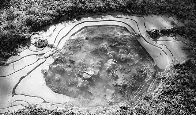 Frozen Ripples: Leliani, Kakheti