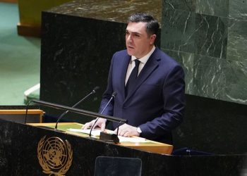 Darchiashvili tells UN General Assembly, “The world needs peace”