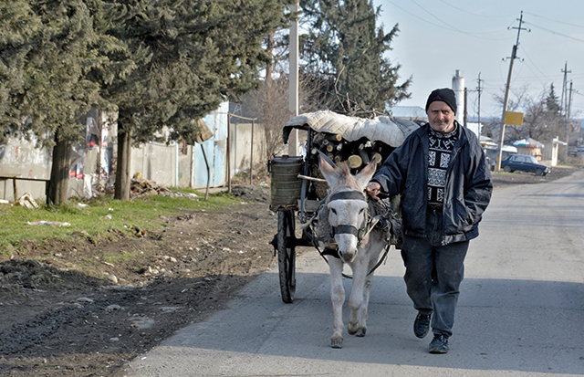 In Lagodekhi. Photo by Davit Khizanishvili/UNDP