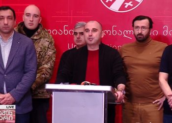 National Movement stops its parliamentary activities