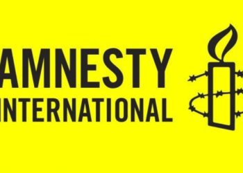 Amnesty International report highlights restricted freedom of expression, selective justice in Georgia