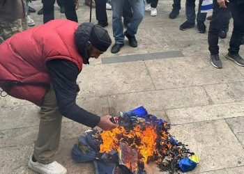 Alt-info representatives burn the EU flag near parliament