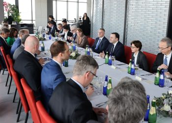 PM meets EU Delegation Head, discusses 12 recommendations