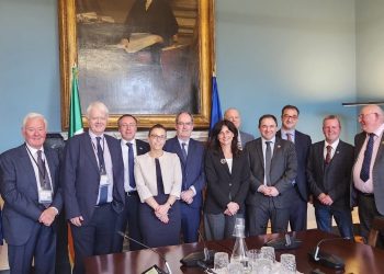 Samkharadze: I anticipate Ireland will lend its support to granting of candidate country status to Georgia
