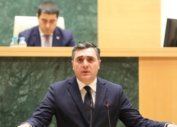 MFA of Georgia: We keep steady implementation of tasks necessary for our successful EU integration