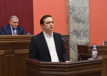Human Rights and Civil Integration Committee hears candidate for PD, Ioseliani