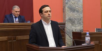 Human Rights and Civil Integration Committee hears candidate for PD, Ioseliani