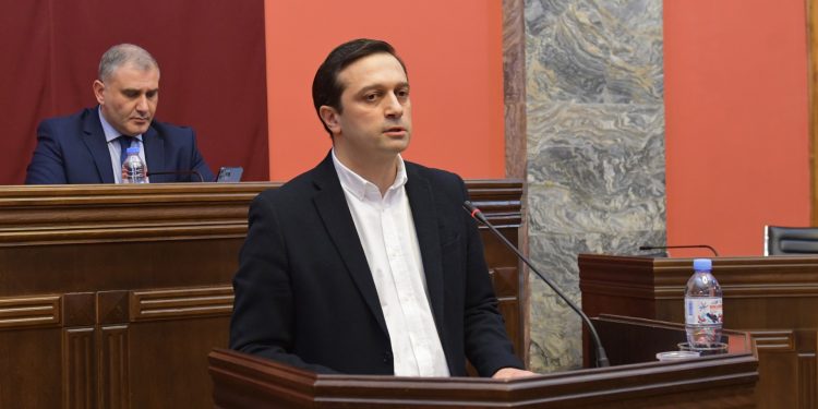 Human Rights and Civil Integration Committee hears candidate for PD, Ioseliani