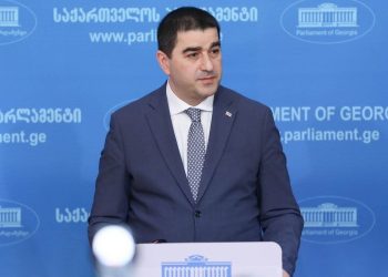 Speaker: Venice Commission has not objected to Georgia adopting proposed deoligarchization law