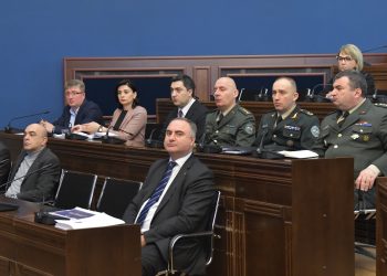 Legal Issues Committee discusses draft defense code