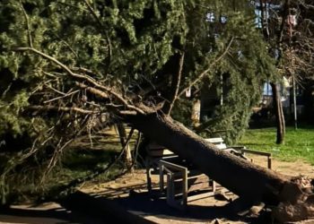 One killed, three injured by strong wind in Georgia’s Adjara region