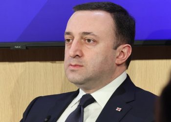 PM: Giving a human rights prize to Saakashvili is the same as awarding Breivik