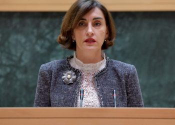 Parliament hears activity report of parliamentary delegation to EU-Georgia association parliamentary committee