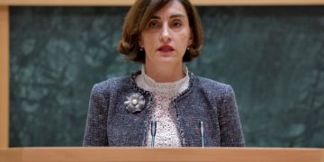 Parliament hears activity report of parliamentary delegation to EU-Georgia association parliamentary committee