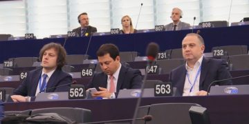 Delegation of parliament of Georgia participates in CoE Parliamentary Assembly