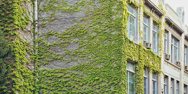 Redecorate: Greens