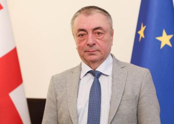 Tengiz Sharmanashvili elected as deputy chair of the Defense and Security Committee
