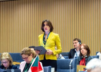 Chair of EU Integration Committee: We expect EU to take crucial step on basis of fair assessment and grant status of candidate state to Georgia