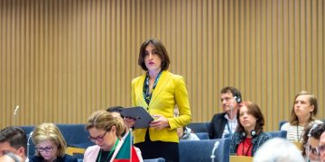 Chair of EU Integration Committee: We expect EU to take crucial step on basis of fair assessment and grant status of candidate state to Georgia