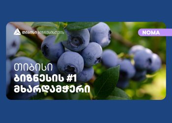 თიბისის მხარდაჭერით კომპანია „ნომა“ მოცვის მეურნეობას აფართოებს
