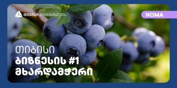 თიბისის მხარდაჭერით კომპანია „ნომა“ მოცვის მეურნეობას აფართოებს