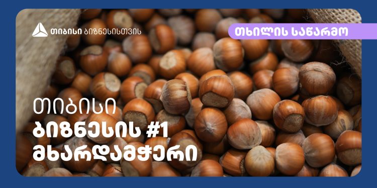 გიორგი ცქვიტარიამ თიბისისთან პარტნიორობით ჩხოროწყუს რაიონის სოფელ ხანწკში თხილის გადამამუშავებელი ქარხანა გახსნა