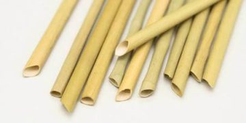 “Biobambi” Reed Straws Will Be Exported to Spain and Cyprus from September