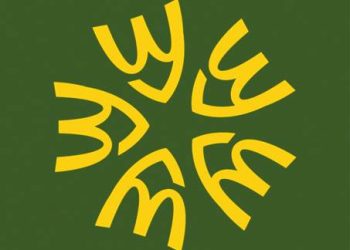 MacShaurma Opens a New Factory and Branches