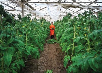 Cooperation and collaboration between CAREC members will help address numerous challenges facing the region, including food insecurity.